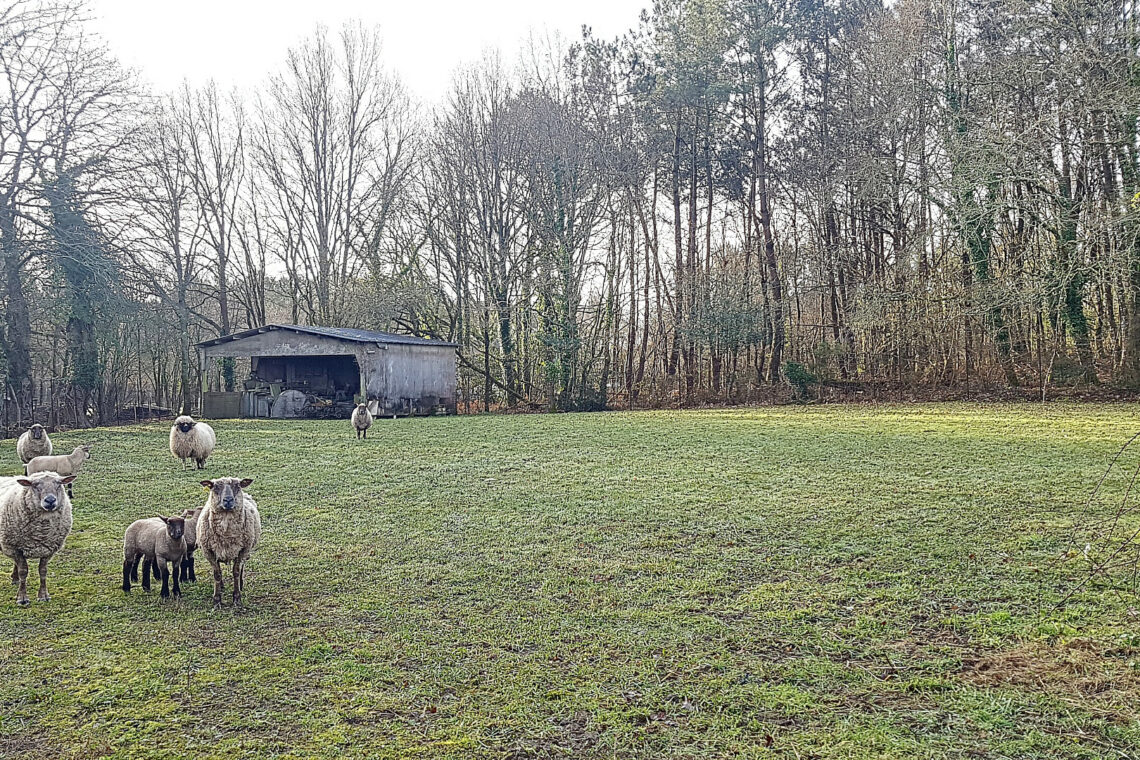 terrain ploemel