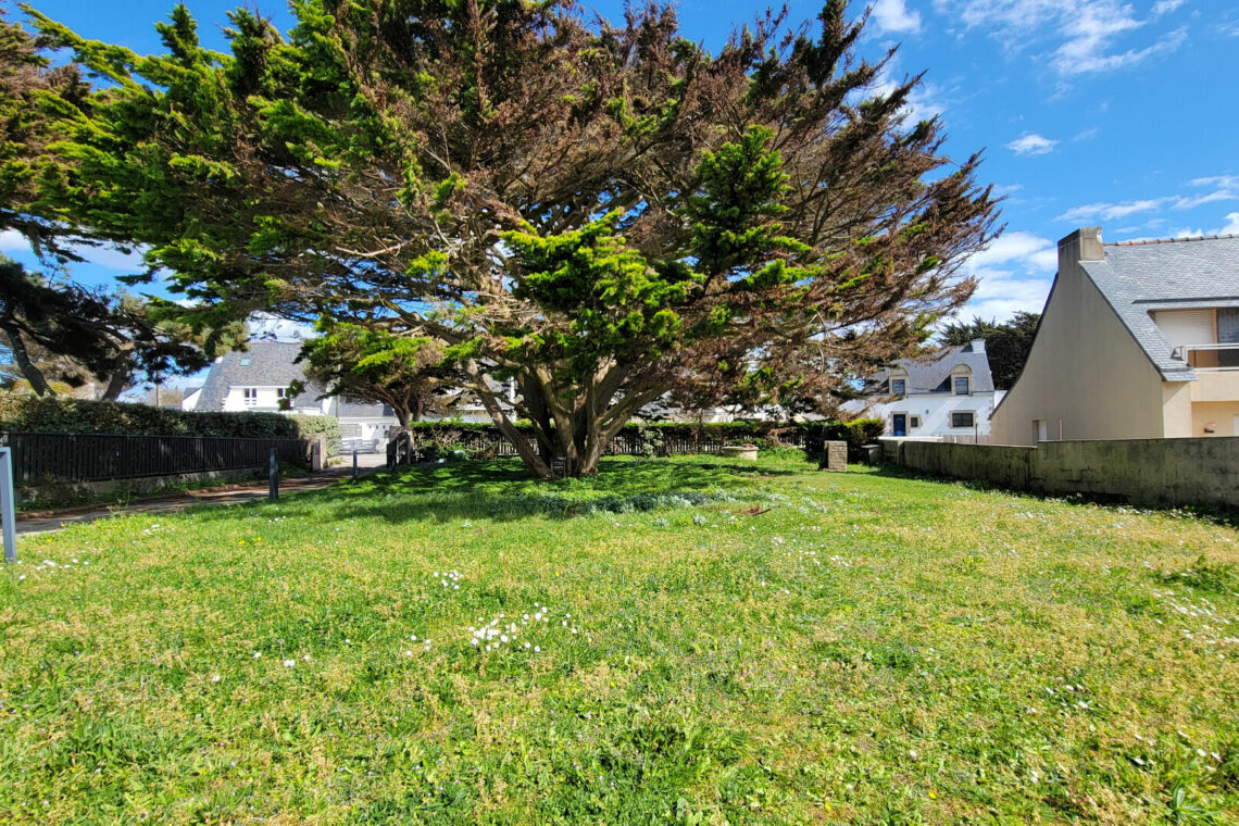 Maison à vendre à Saint pierre quiberon (Réf 1353) 