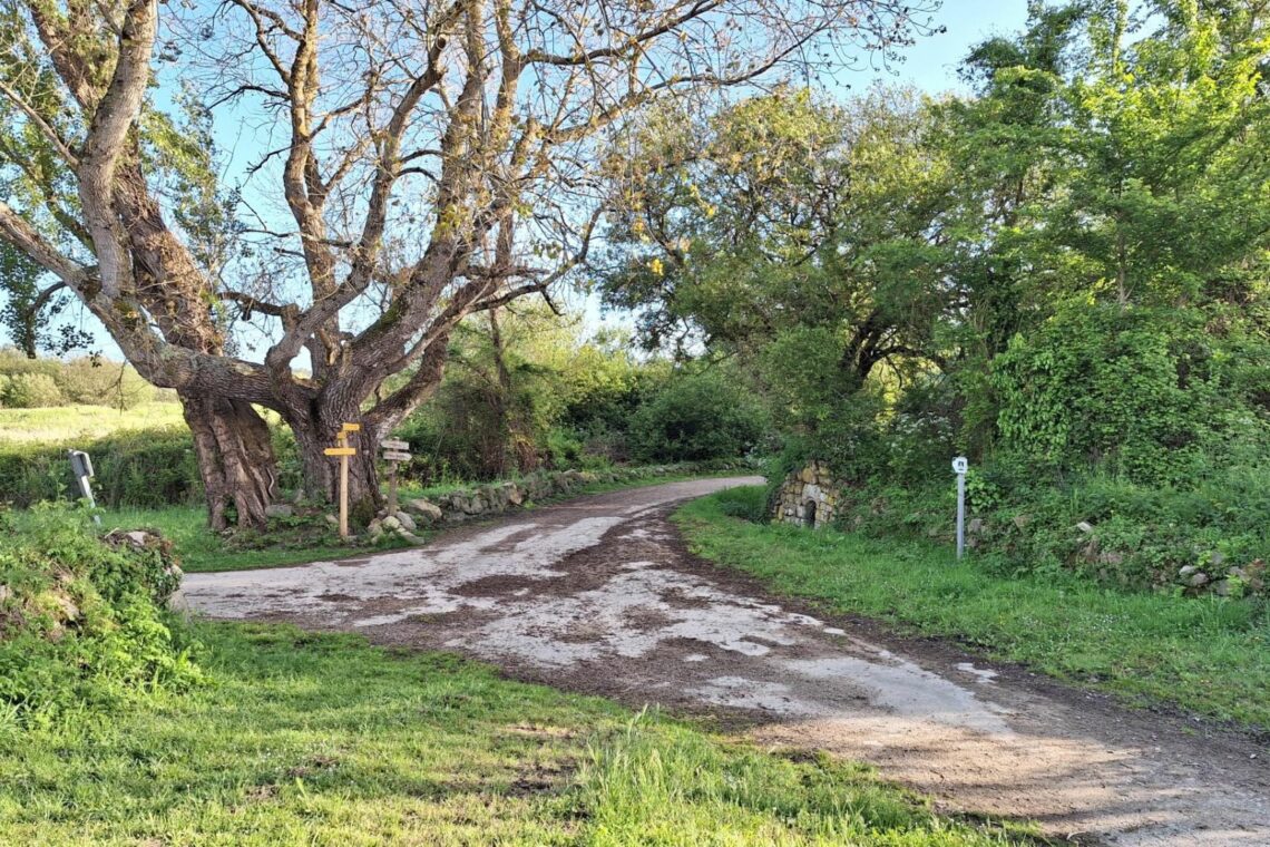 Maison à vendre à Plouharnel (Réf 977) 